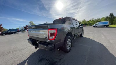 2021 Ford F-150 Platinum