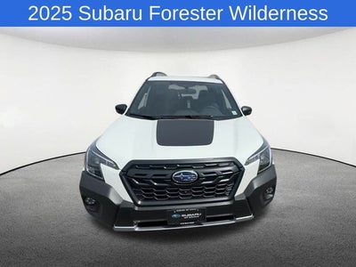 2025 Subaru Forester Wilderness