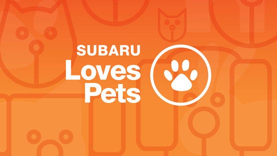 Subaru of Utica in Yorkville NY