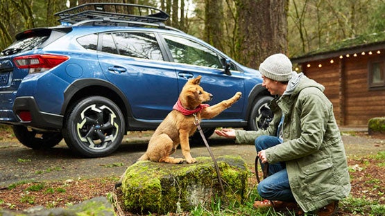 Subaru of Utica in Yorkville NY
