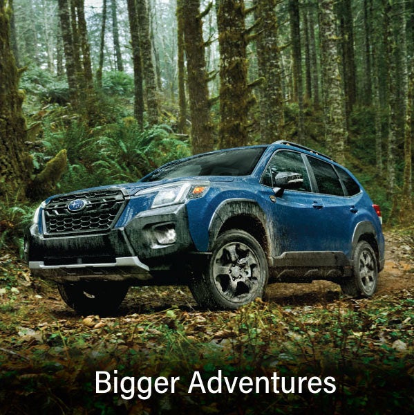 A blue Subaru outback wilderness with the words “Bigger Adventures“. | Subaru of Utica in Yorkville NY