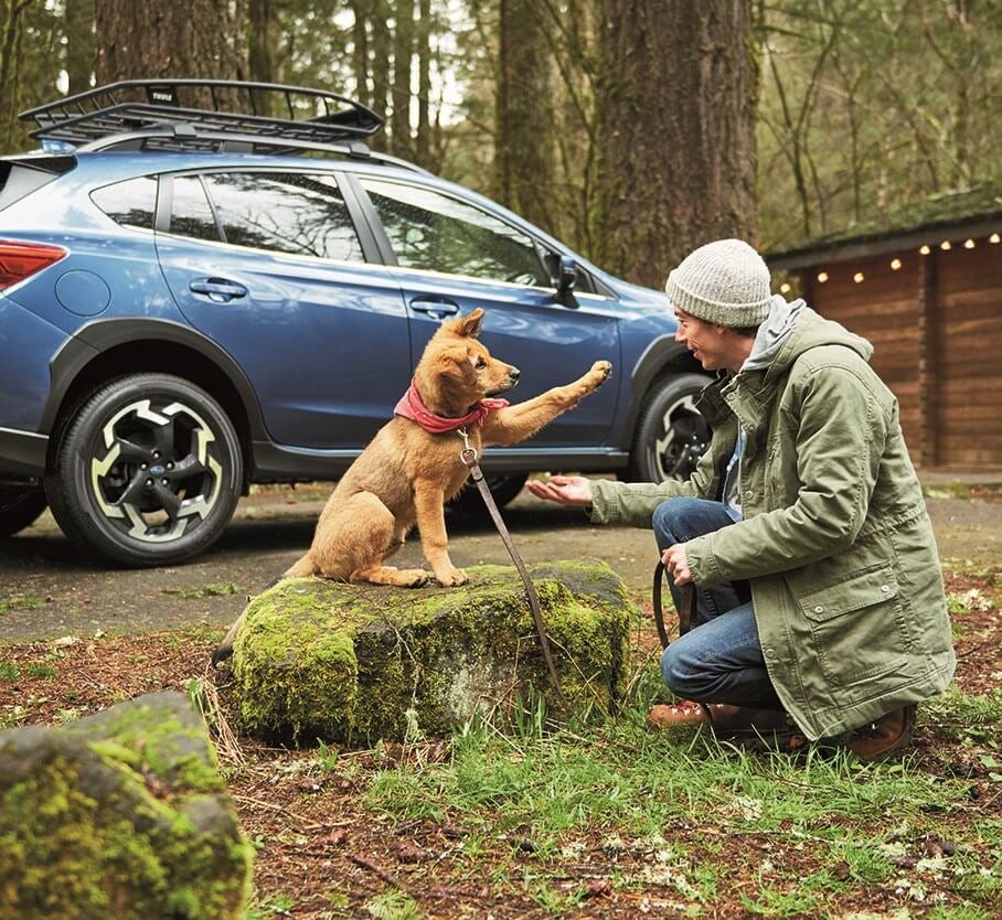 subaru Crosstrek and man with dog