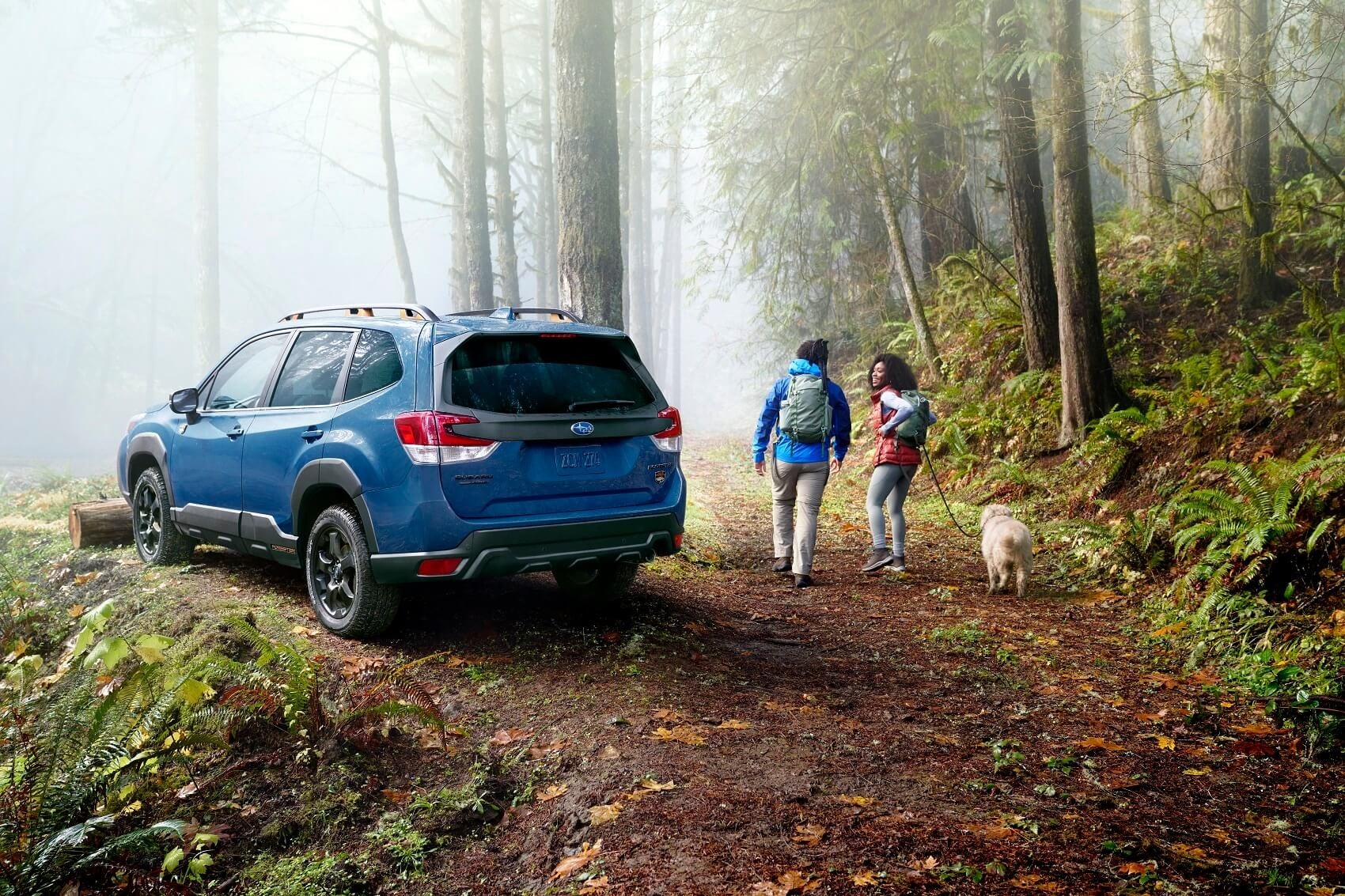 Why Get a Certified Pre-Owned Subaru near Rome NY