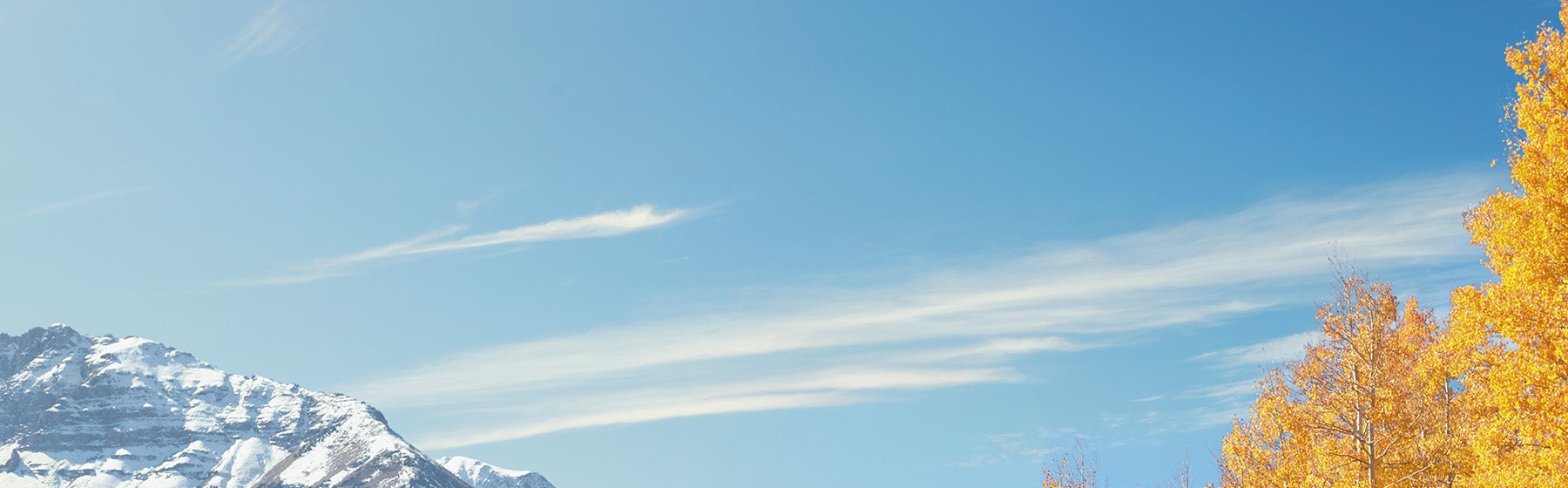 Complimentary Multi-Point Inspection