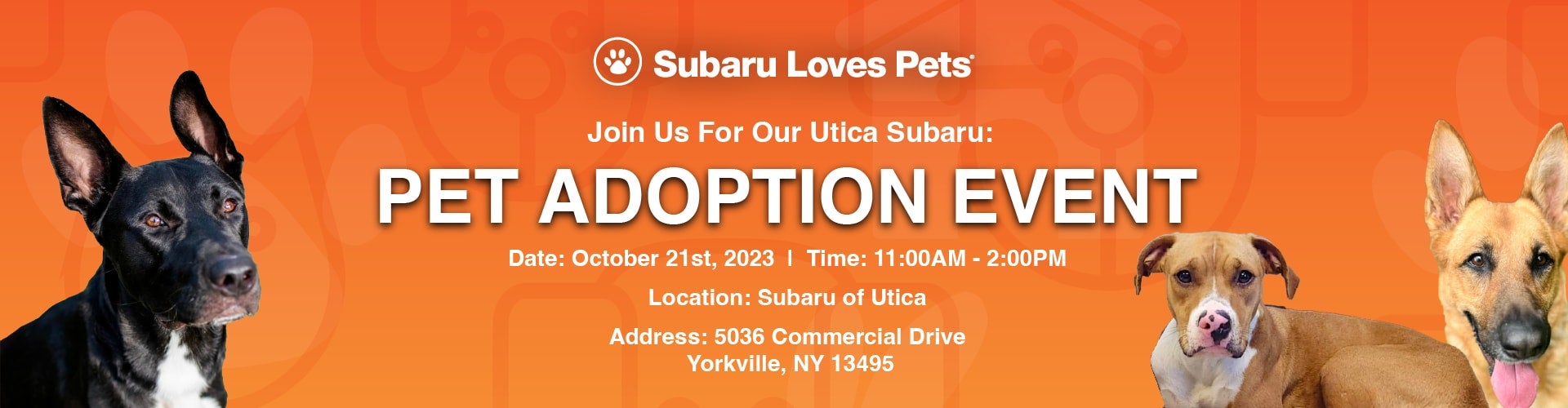 pet adoption banner