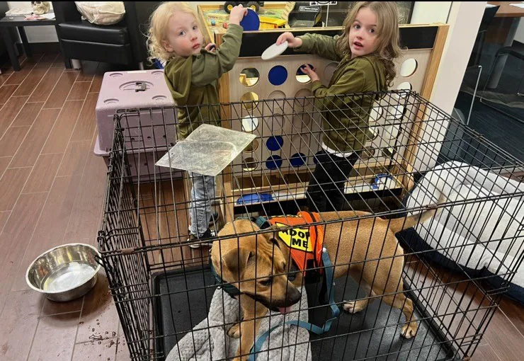 children playing near dog in crate